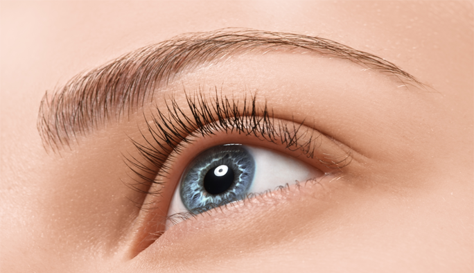 Brows & Lashes